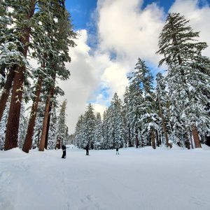 Meet your Posher, Nelson